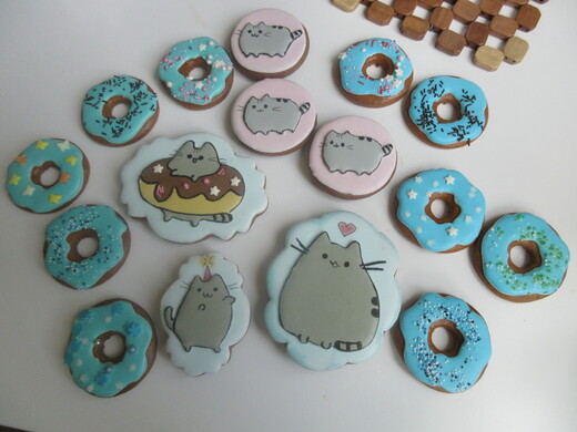 Kočka Pusheen, různé